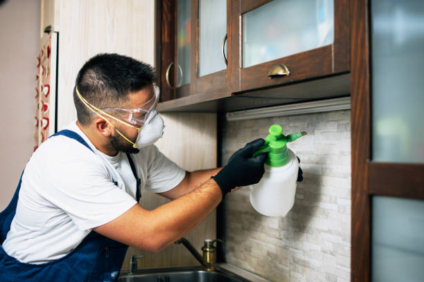 Best Pest Control Cost  in Trinity, FL