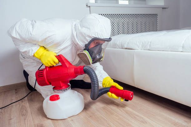 Best Wildlife Control Services  in Trinity, FL