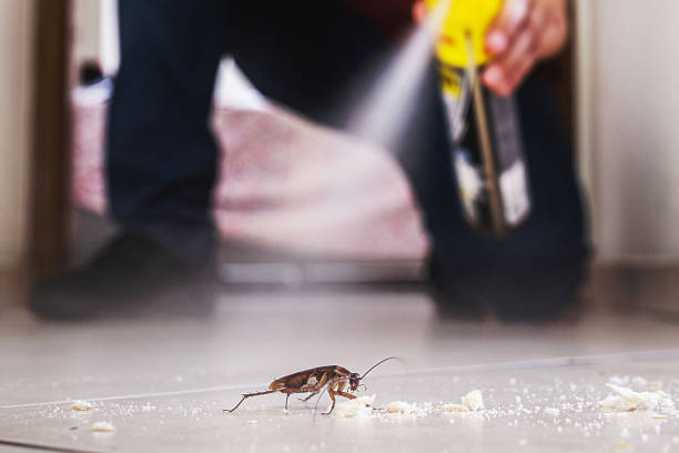 Best Mosquito Control Services  in Trinity, FL